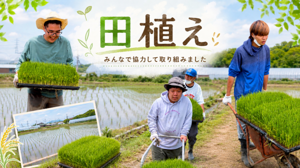 🌱季節を感じる田植え作業🌾